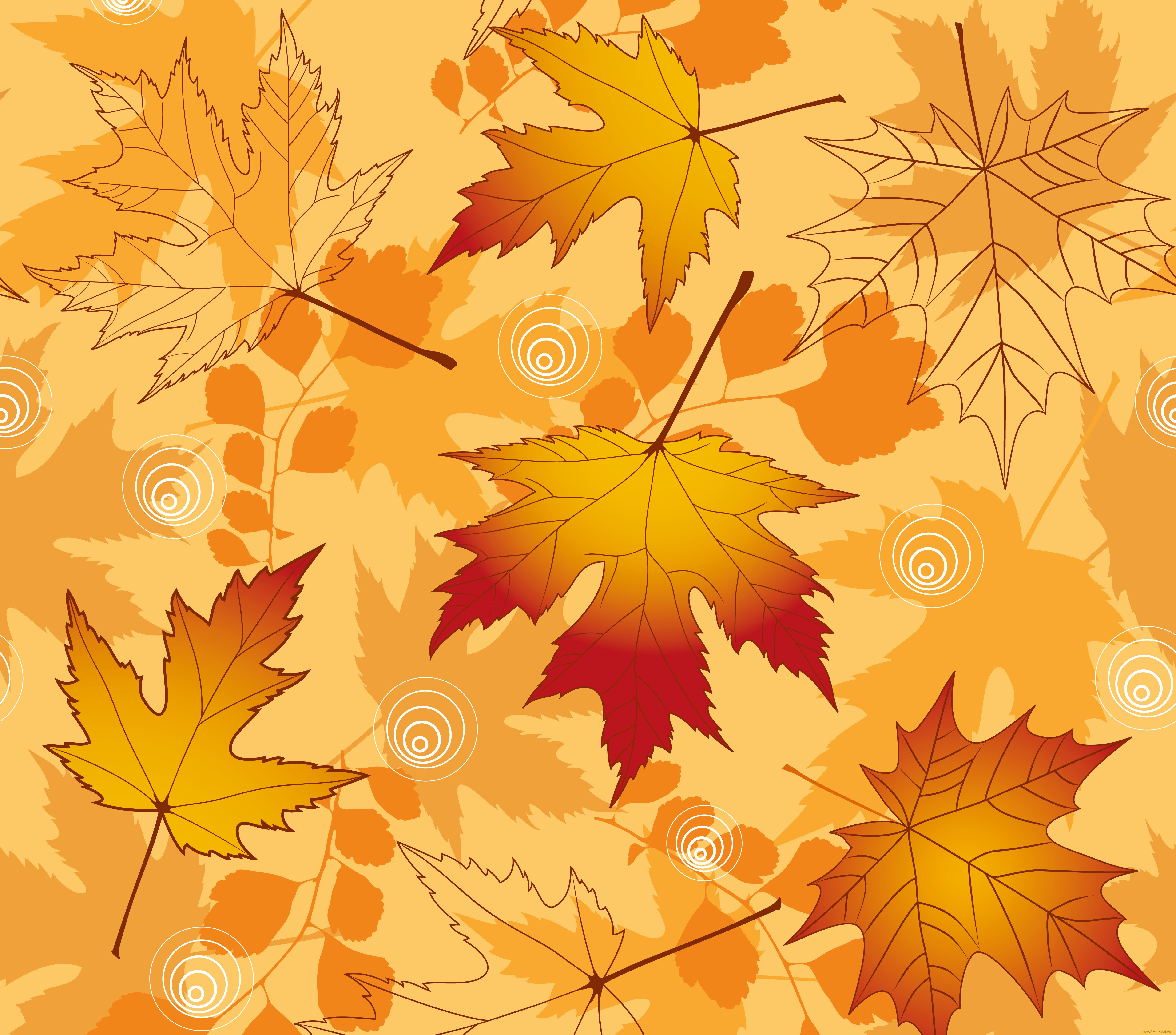  ,  , nature, , maple, fall, , leaves, autumn, 
